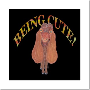 DAMASCUS GOAT BEING CUTE Posters and Art